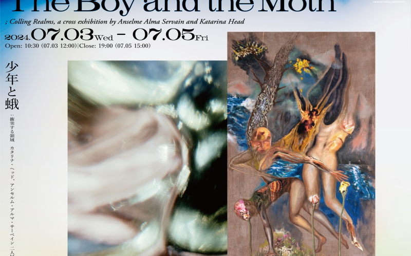 The Boy and the Moth ポスター。 タイトルと、アンセルムの抽象的な写真、カタリナの人型のようなモチーフが見えるコラージュ作品が大きく配置されている